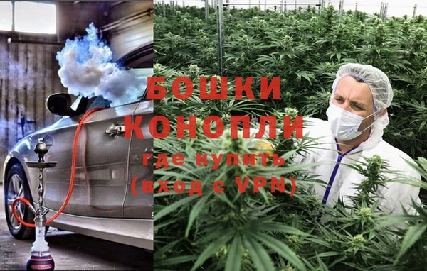 ГАЛЛЮЦИНОГЕННЫЕ ГРИБЫ Алексеевка
