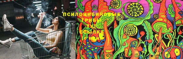 ГАЛЛЮЦИНОГЕННЫЕ ГРИБЫ Алексеевка