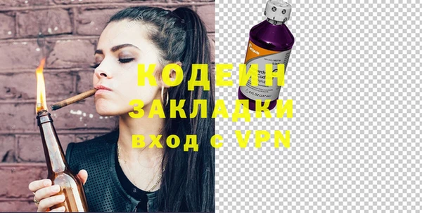ECSTASY Алзамай