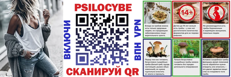 Галлюциногенные грибы Psilocybine cubensis Поронайск